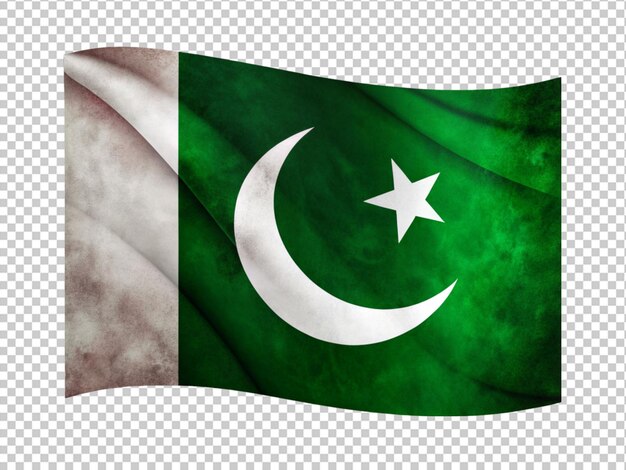 PSD die pakistanische flagge