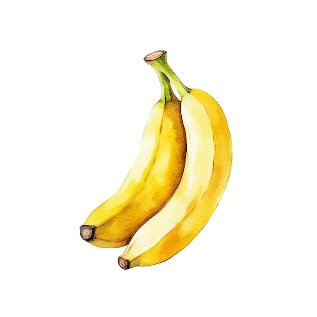 Dies ist ein Aquarellgemälde von zwei reifen Bananen
