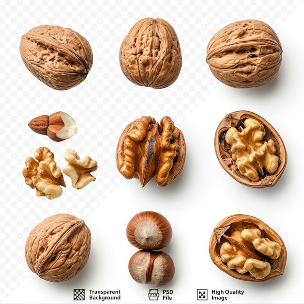 Diferentes cabezas y nueces de primer plano en un fondo blanco aislado