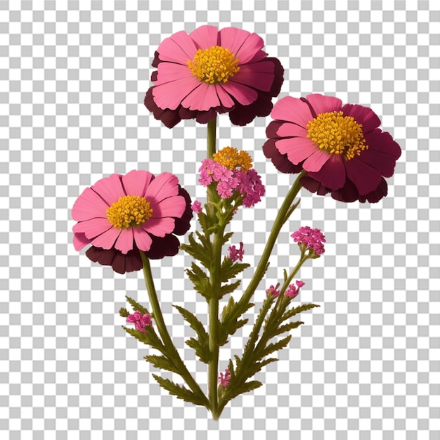 PSD diferentes flores de cor rosa desenho de buquê aquarela decoração vata cartão psd ai