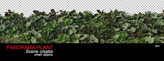 Diferentes tamaños de plantas.