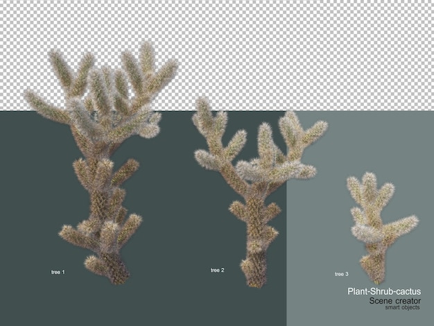 PSD diferentes tipos de arboles y cactus.