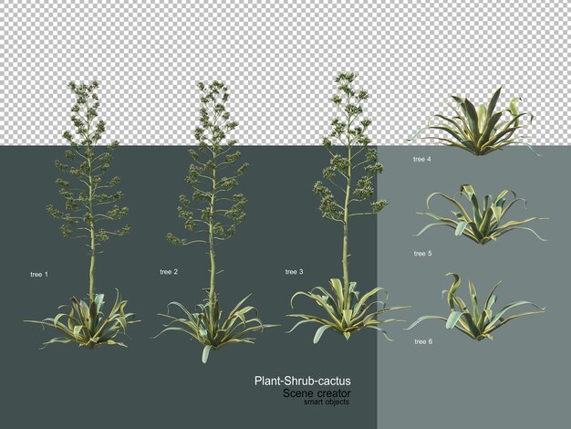 PSD diferentes tipos de arboles y cactus.