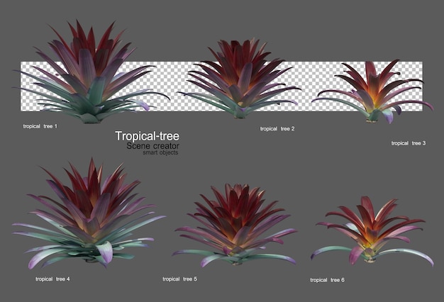 PSD diferentes tipos de arboles tropicales.