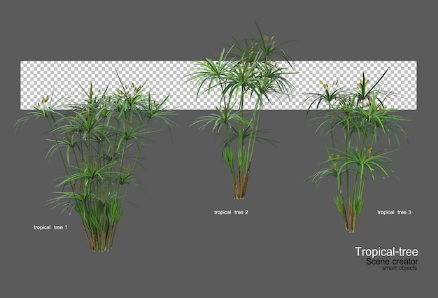 PSD diferentes tipos de arboles tropicales.