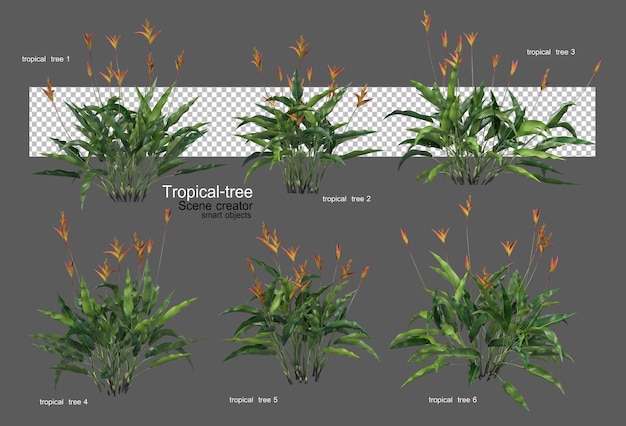 Diferentes tipos de arboles tropicales.
