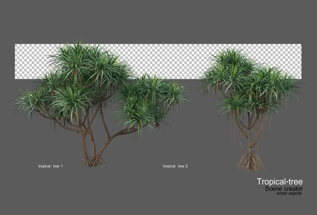 Diferentes tipos de arboles tropicales.