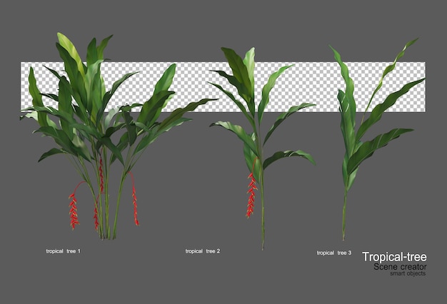 PSD diferentes tipos de arboles tropicales.