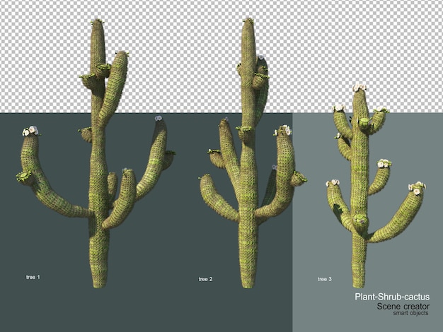 PSD diferentes tipos de árvores e cactos