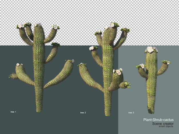 PSD diferentes tipos de árvores e cactos