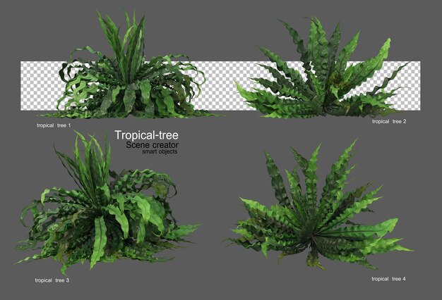 Diferentes tipos de árvores tropicais