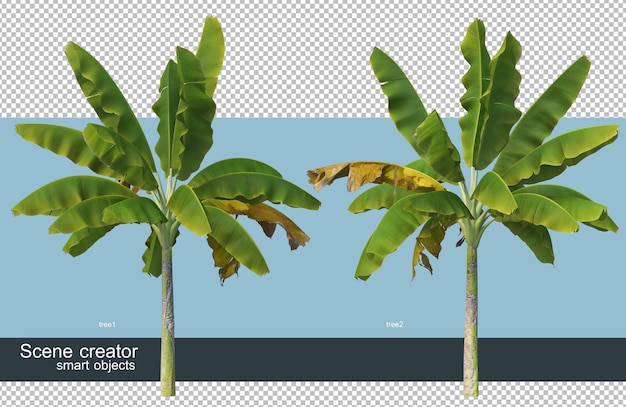 Diferentes tipos de renderização 3d de bananeira
