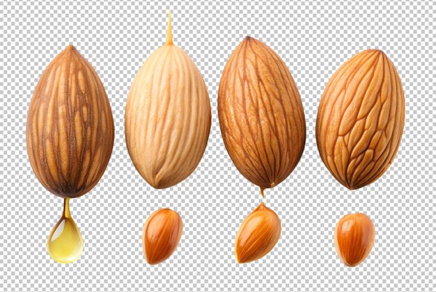 diferentes tipos de nueces, incluidas las almendras y una sección transversal