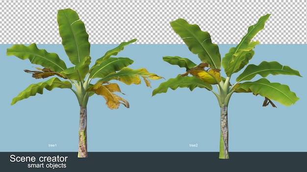 PSD diferentes tipos de representación 3d de plátano