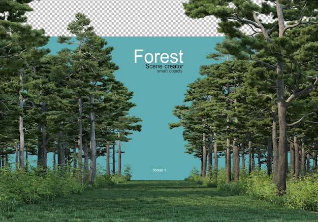 PSD différentes formes de forêt
