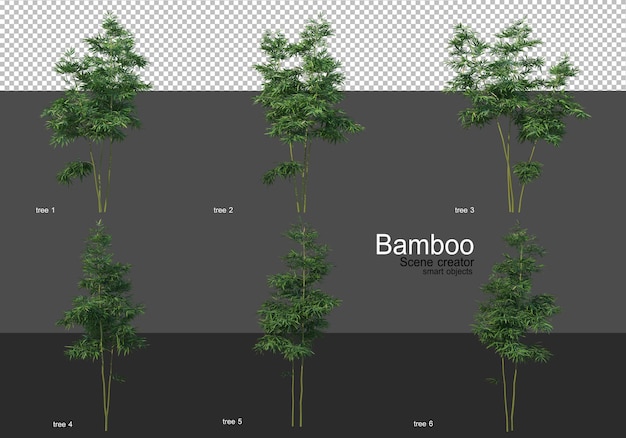 Différentes Formes De Rendu En Bambou