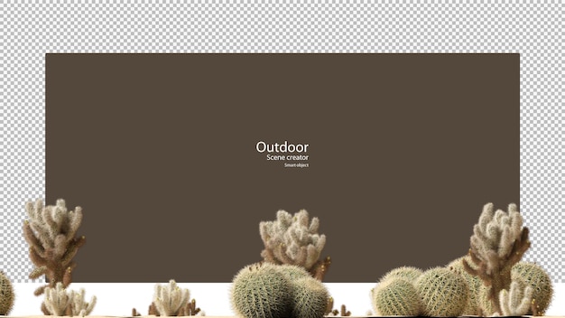 PSD différents types de cactus sur gravier et sable