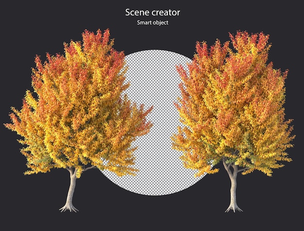 PSD différents types de plantes d'arbres buissons arbustes et petites plantes rendu isolé