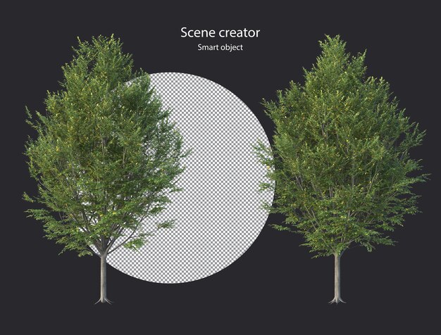 PSD différents types de plantes d'arbres buissons arbustes et petites plantes rendu isolé