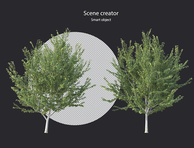 PSD différents types de plantes d'arbres buissons arbustes et petites plantes rendu isolé