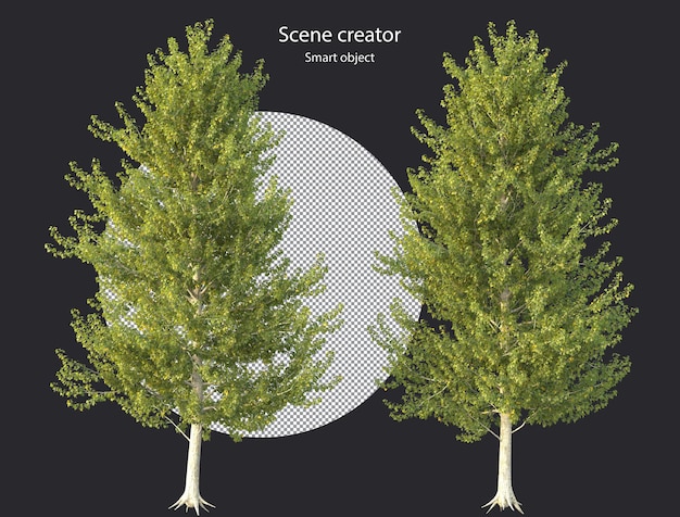 PSD différents types de plantes d'arbres buissons arbustes et petites plantes rendu isolé