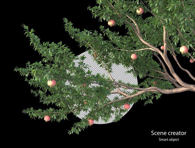 Différents Types De Plantes D'arbres Buissons Arbustes Et Petites Plantes Rendu Isolé