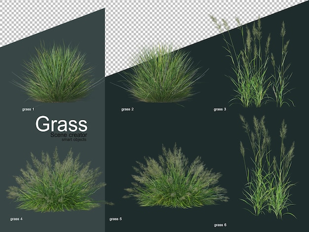 Différents Types De Rendu 3d D'herbe