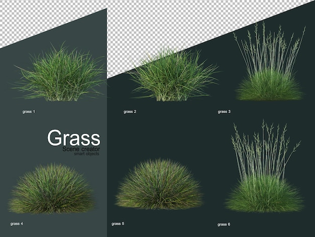 Différents types de rendu 3D d'herbe