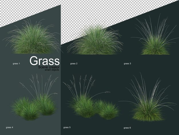 Différents types de rendu 3D d'herbe