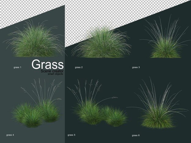 Différents Types De Rendu 3d D'herbe