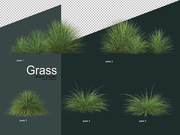 Différents types de rendu 3D d'herbe