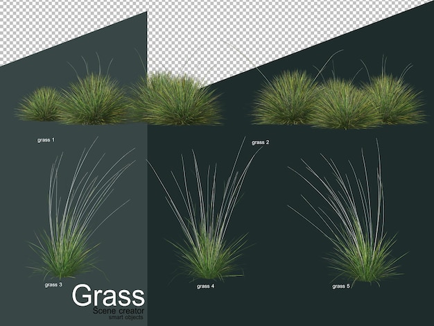 Différents types de rendu 3D d'herbe