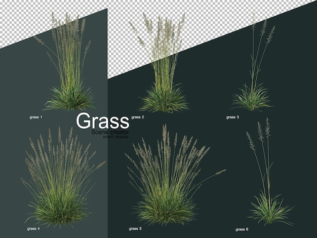 Différents types de rendu 3D d'herbe