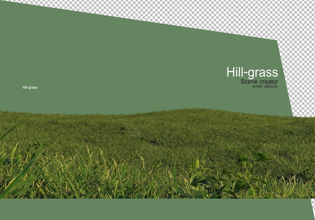 PSD différents types de rendu d'herbe isolé