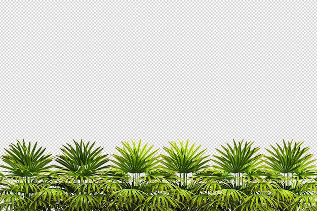 Différents types de rendu d'herbe isolé