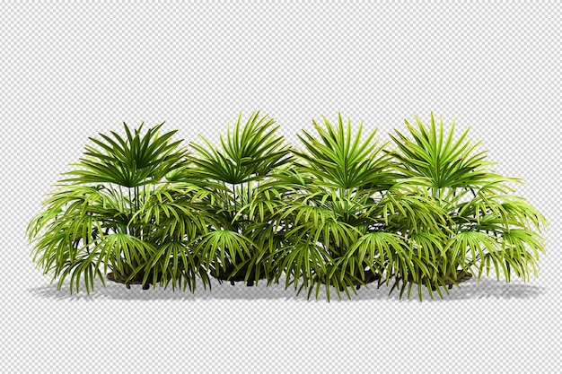 Différents types de rendu d'herbe isolé