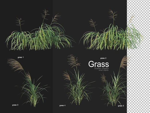 PSD différents types de rendu de l'herbe
