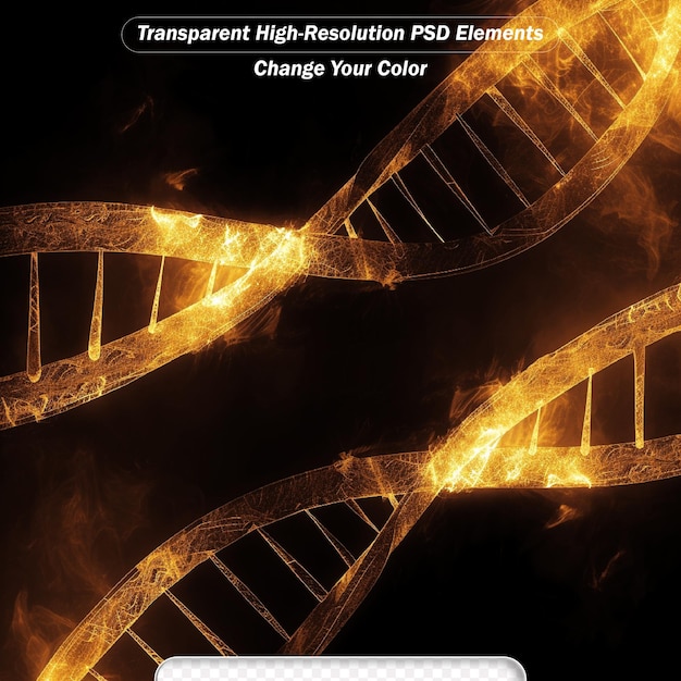 PSD digitale darstellung der dna-struktur