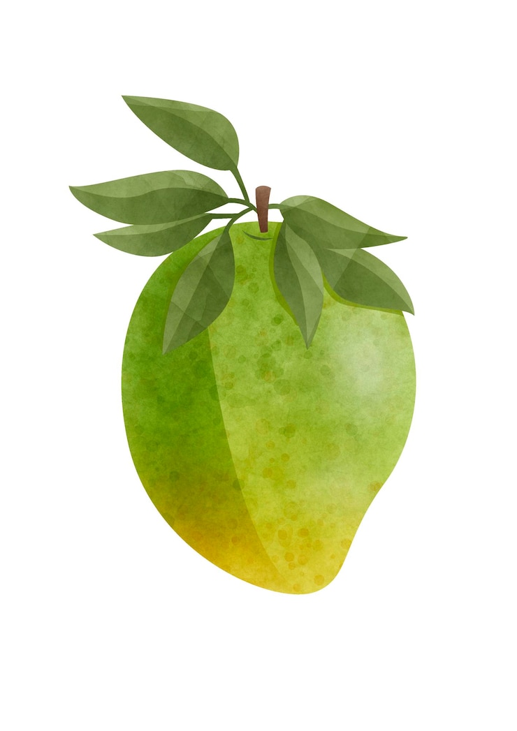 PSD digitale illustration mit aquarell-mango