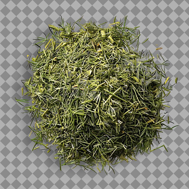PSD dill weed tipo de hierba anethum graveolens forma de hierba secado objeto aislado en fondo limpio