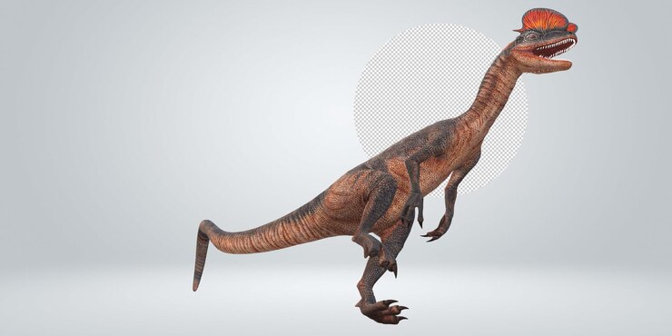 PSD dilophosaurus en un fondo transparente