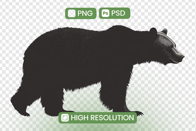 discover highresolution bear silhouette png psd files for creative projects featuring a majestic wildlife image perfect for graphic design and digital art download now