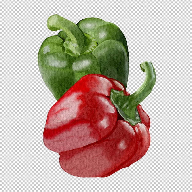 Disegnato a mano in acquerello a peperoncino rosso e verde