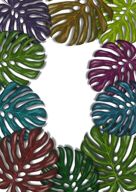 disegno a acquerello a mano di foglie di monstera colorate su sfondo bianco