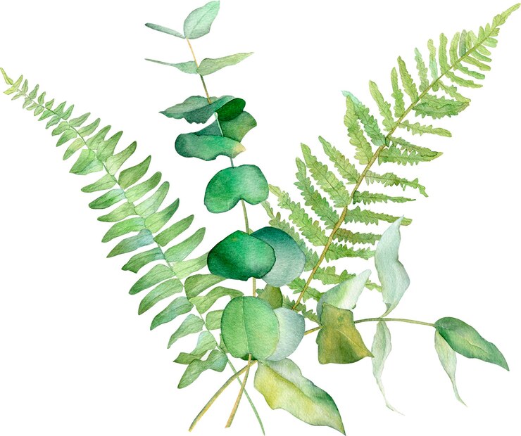PSD disegno dell'invito dell'illustrazione botanica della vegetazione della foresta dell'acquerello