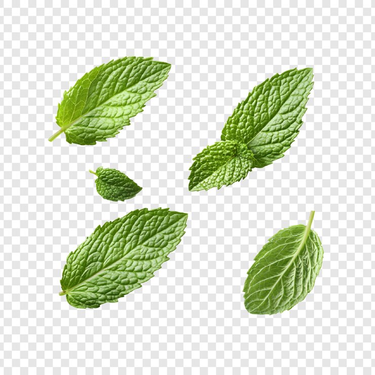 PSD disegno illustrativo astratto di foglie verdi