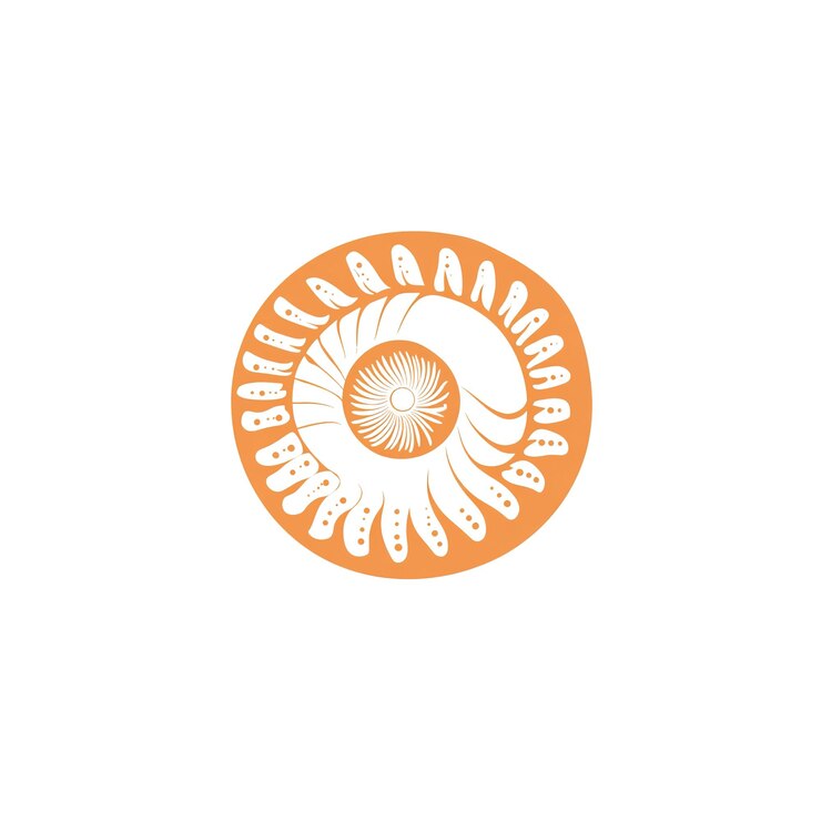 PSD diseño circular abstracto naranja y negro con motivo en espiral