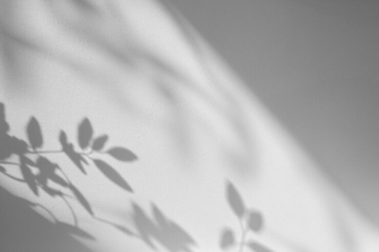Diseño de fondo de superposición de sombras de pared