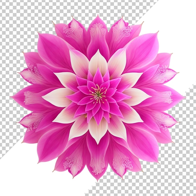 Diseño fractal de mandala con patrón de flor de lirio aislado en un fondo transparente