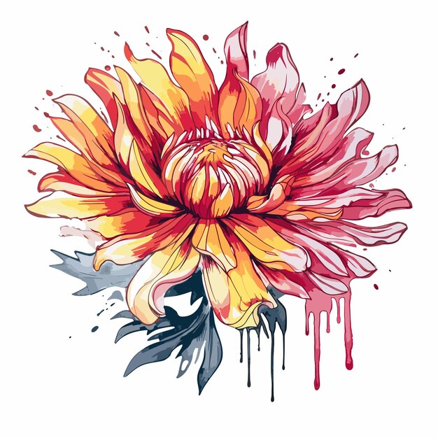 PSD diseño gráfico de camiseta de acuarela de gaillardia ilustración de acuarela png psd